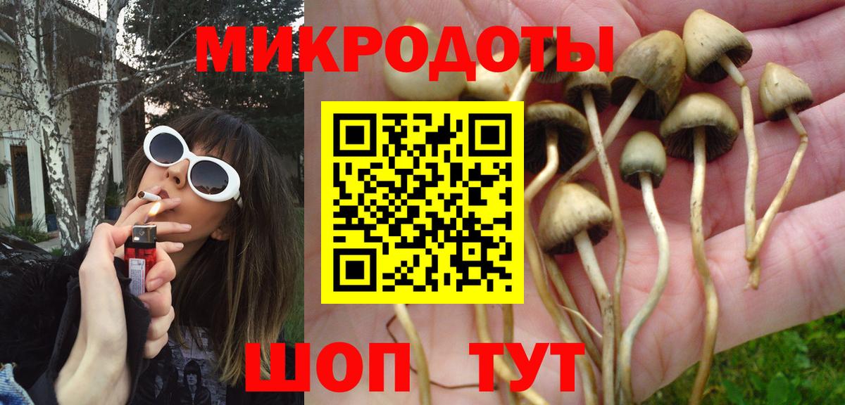 Домодедово  Галлюциногенные грибы Cubensis  Вход с VPN 