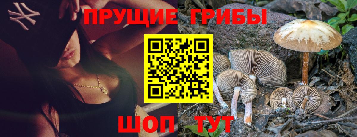 Галлюциногенные грибы Cubensis Домодедово